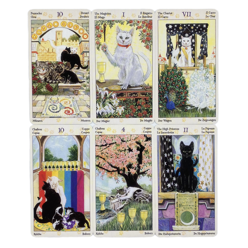 78 Cards Deck Tarot Of Pagan C - огляд і ціна Board Game Of Life