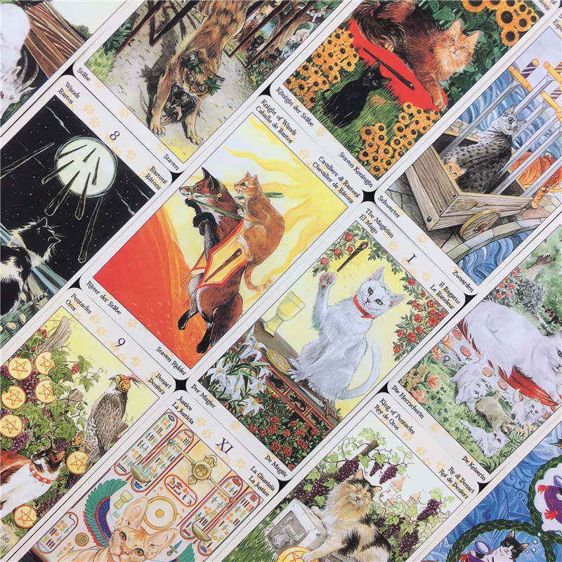78 Cards Deck Tarot Of Pagan C - огляд і ціна Board Game Of Life